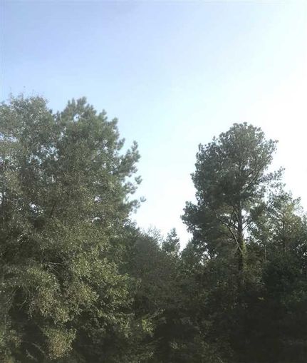 Timberland Property in Noxubee County, Mississippi
