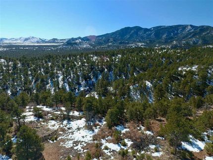 Timberland Property in Fremont County, Colorado