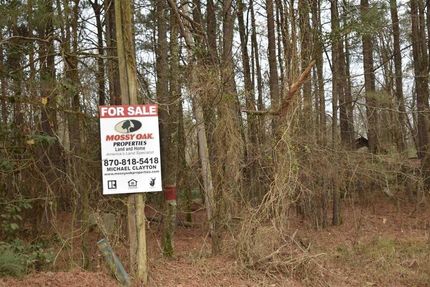 Timberland Property in Nevada County, Arkansas