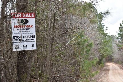 Timberland Property in Nevada County, Arkansas