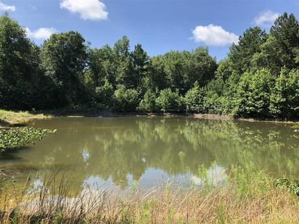 Recreational Property in Dodge County, Georgia
