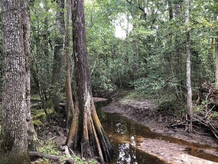 Land in Jenkins County, Georgia