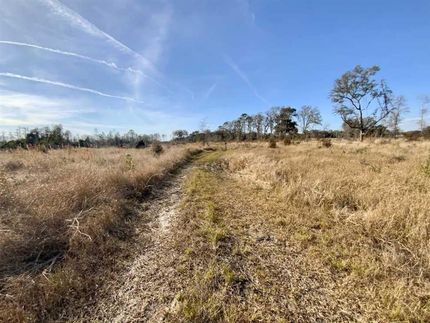 Timberland Property in Madison County, Florida