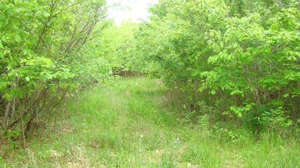 Recreational Property in Howell County, Missouri