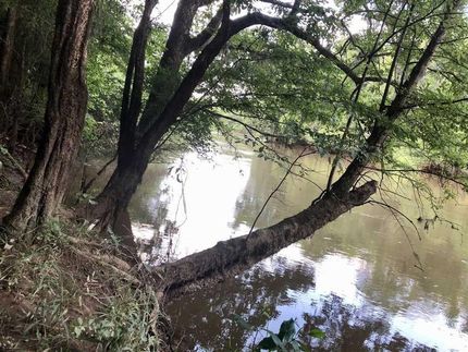 Land in Houston County, Georgia