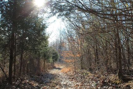 Timberland Property in Sumner County, Tennessee