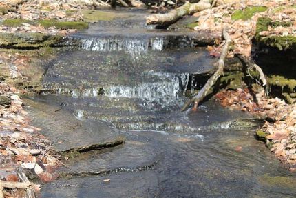 Recreational Property in Macon County, Tennessee