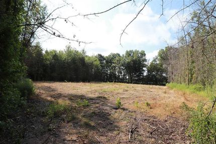 Timberland Property in Lonoke County, Arkansas