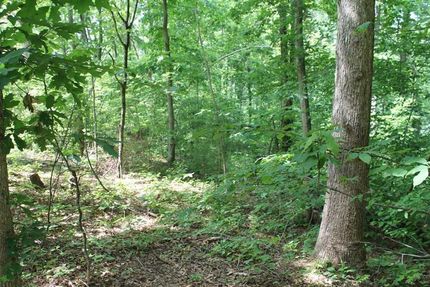 Farm and Ranch in DeKalb County, Tennessee