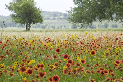 Farm and Ranch in Tarrant County, Texas