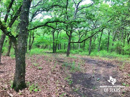 Hunting Property in Montague County, Texas
