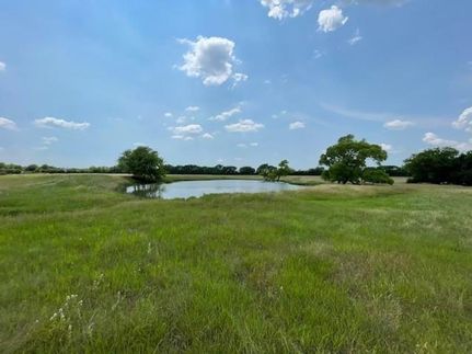 Undeveloped Land in Grayson County, Texas