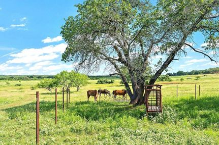 Farm and Ranch in Wilson County, Texas