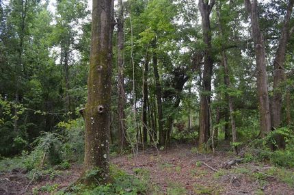 Farm and Ranch in Macon County, Alabama