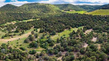 Farm and Ranch in Las Animas County, Colorado
