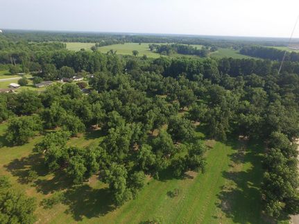 Farm and Ranch in Tattnall County, Georgia