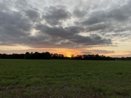 Farm and Ranch in White County, Arkansas