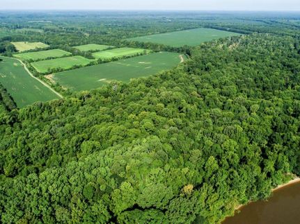 Farm and Ranch in Darlington County, South Carolina
