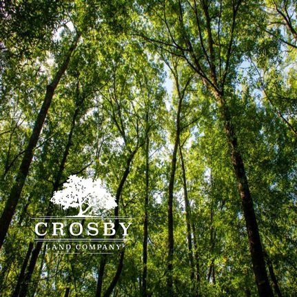 Land in Colleton County, South Carolina