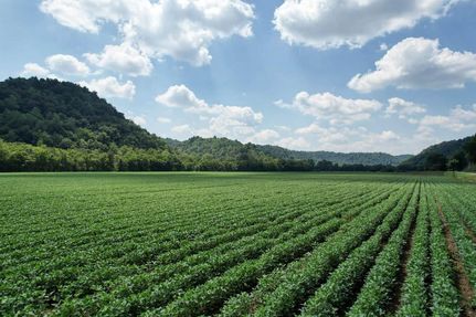 Farm and Ranch in Jackson County, Tennessee