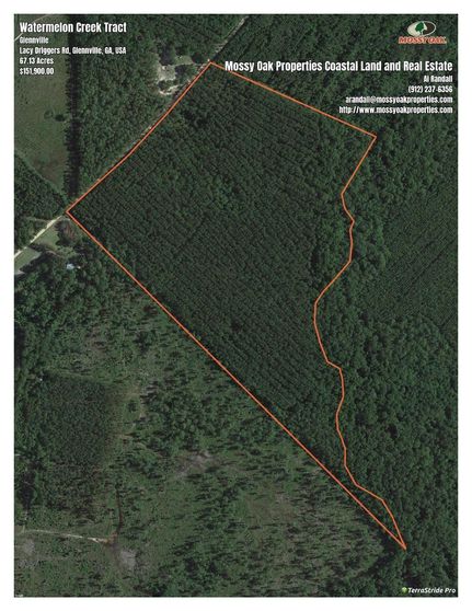 Hunting Property in Tattnall County, Georgia