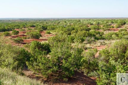 Recreational Property in Knox County, Texas