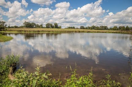 Farm and Ranch in Harrison County, Texas