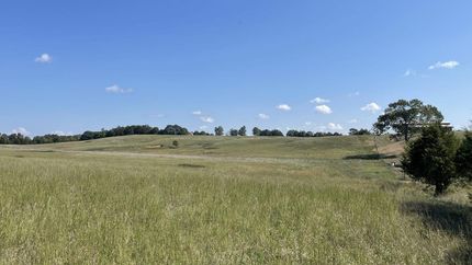 Undeveloped Land in Cleburne County, Arkansas