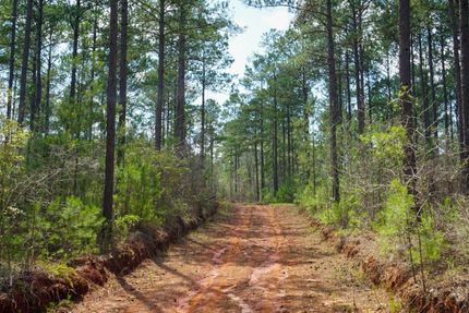Recreational Property in Twiggs County, Georgia