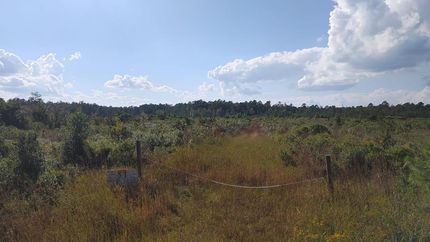 Undeveloped Land in Camden County, Georgia