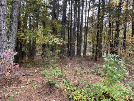 Timberland Property in Izard County, Arkansas