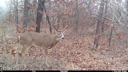 Recreational Property in Pittsburg County, Oklahoma