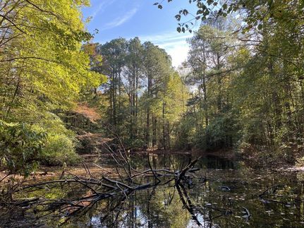 Commercial Property in Hot Spring County, Arkansas