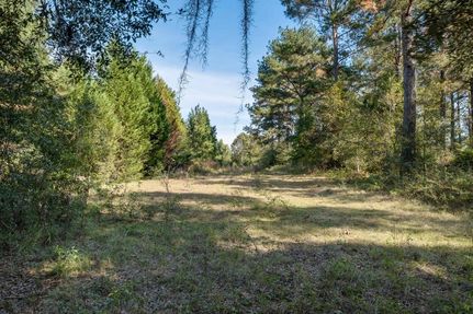Farm and Ranch in Madison County, Florida