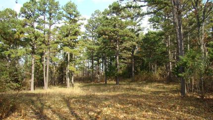 Recreational Property in Texas County, Missouri