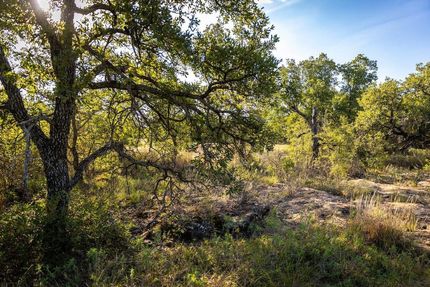 Farm and Ranch in Young County, Texas