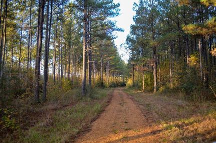 Recreational Property in Macon County, Alabama