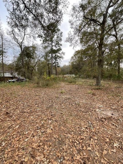 Farm and Ranch in Montgomery County, Texas