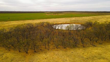 Timberland Property in Archer County, Texas
