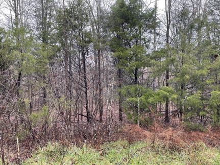 Homesite in Sharp County, Arkansas