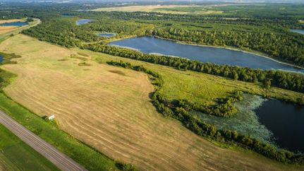 Timberland Property in Titus County, Texas