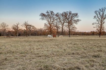 Land in Rains County, Texas