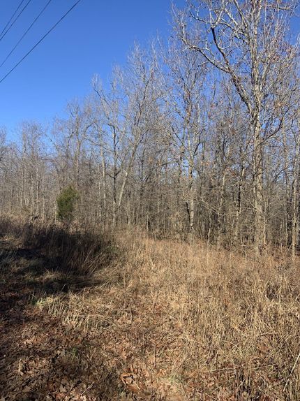 Undeveloped Land in Ripley County, Missouri