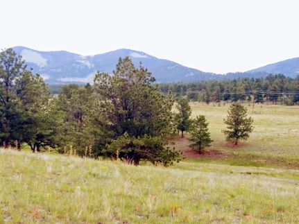 Undeveloped Land in Park County, Colorado