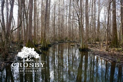 Land in Bamberg County, South Carolina