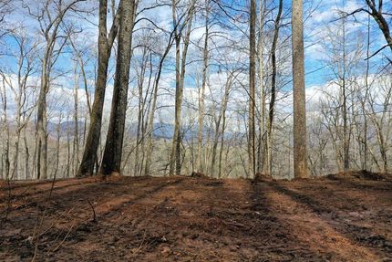 Commercial Property in Jackson County, North Carolina