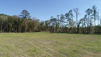 Timberland Property in Charlton County, Georgia