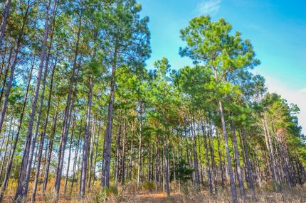Commercial Property in Anderson County, Texas