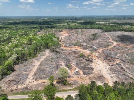 Undeveloped Land in Itawamba County, Mississippi