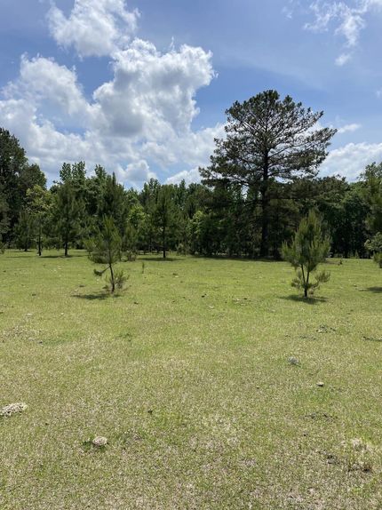 Recreational Property in Macon County, Alabama